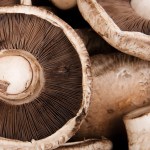 1-overzicht_portabella--list-wide